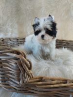 LUCY - Image 4